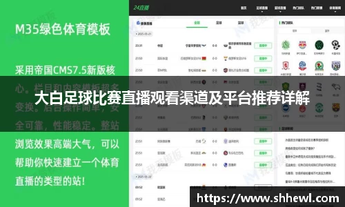 大白足球比赛直播观看渠道及平台推荐详解